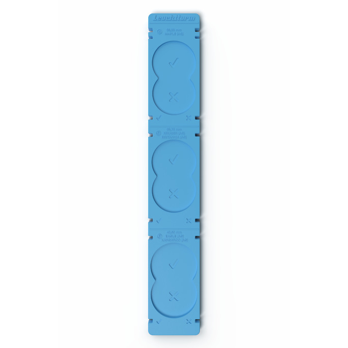 BullionRuler gabarit de mesure