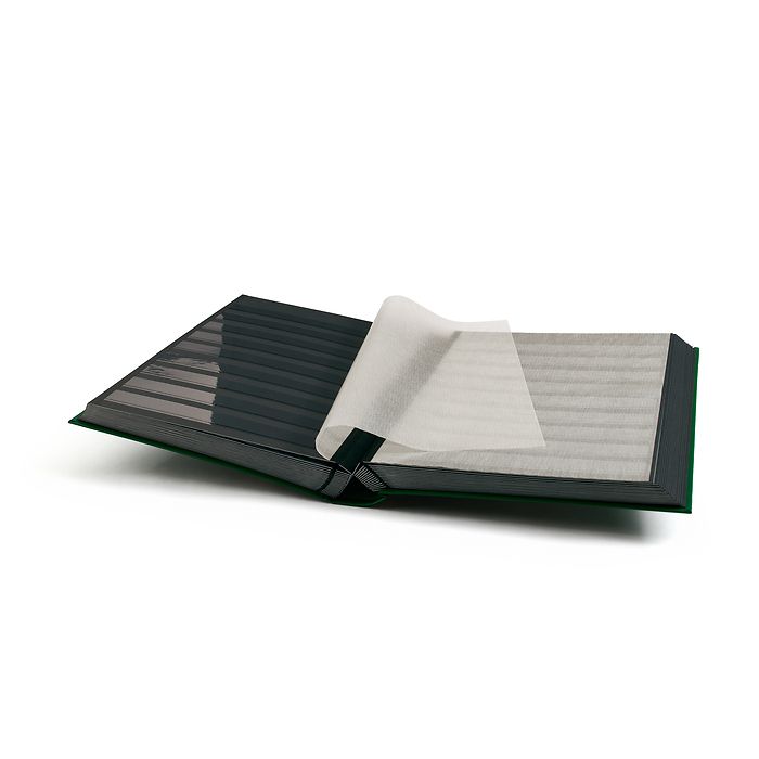 Classeur Basic, DIN A4, 64 pages noires, couverture non matelassée, vert