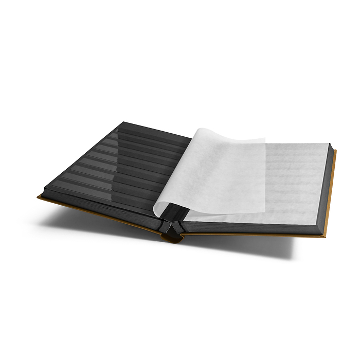 Classeur Comfort, Din A4, 64 pages noires, couverture matelassée, or