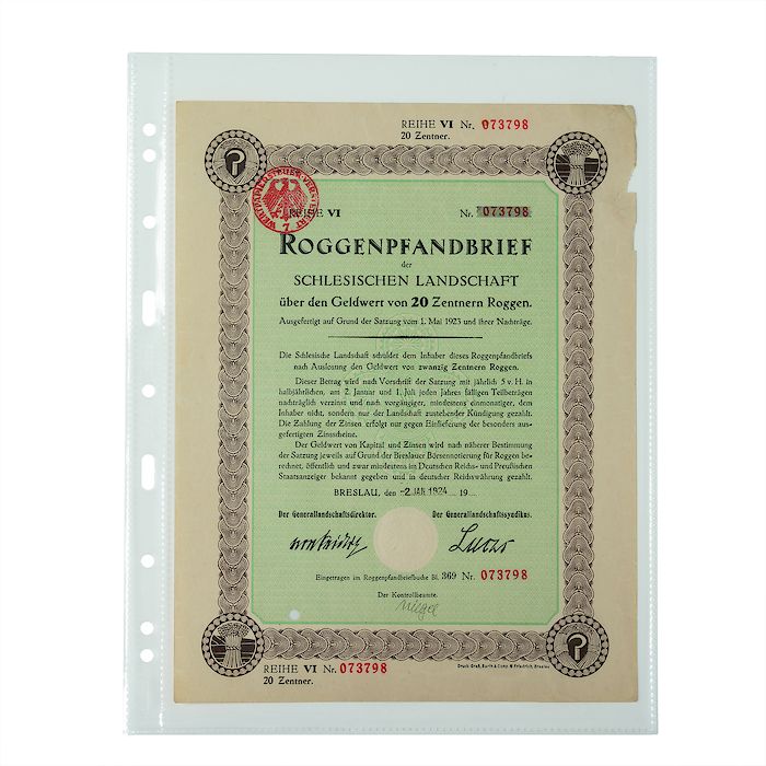 feuilles en plastique Grande Easy, 1 pochette (A4), PP, clair, paquet de 50