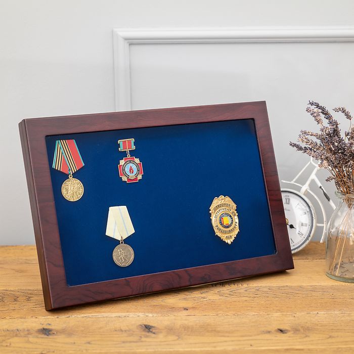 Vitrine Militaria avec couvercle en verre et fonction présentation verticale