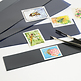 Bande hawid 217x30 mm, fond transparente / 2030