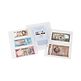Pochettes plastiques SH 252