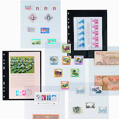 Pochettes plastiques Optima